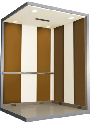 capsule lift